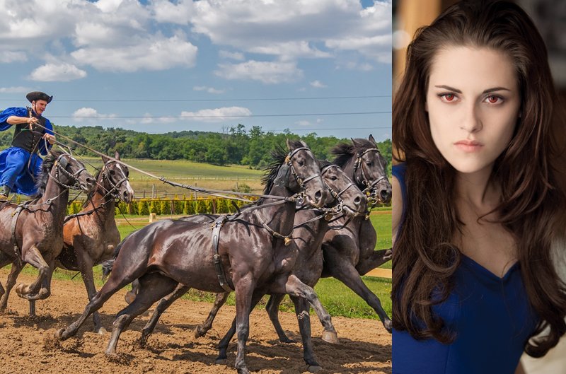 Kristen Stewart is Equinophobic – Fear of Horses