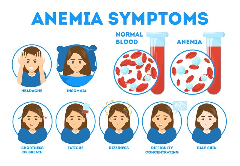 Reasons that Cause Anemia