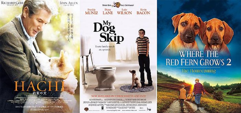 What Are the Saddest Dog Movies - The Bond Between Humans and Animals